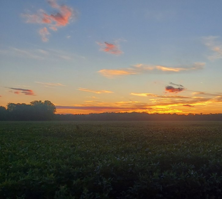 Obituary of Gary Lee Rose