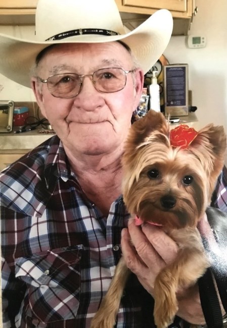 Obituary of Theodore "Ted" Albert Olson