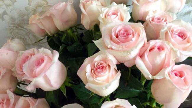 Obituary of Leigh Ellen Kleber