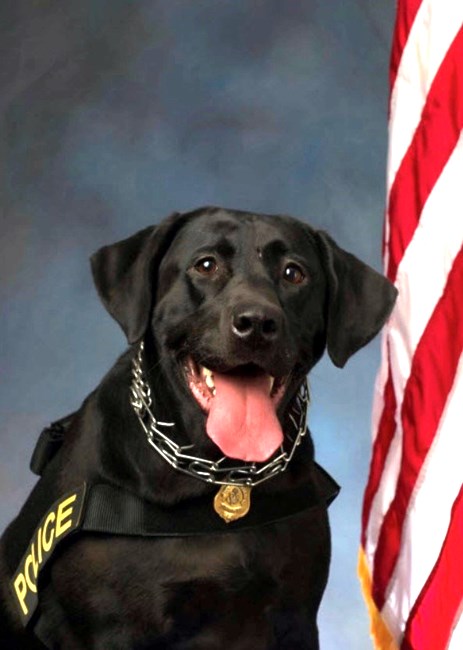 Obituary of K-9 Bella