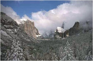 Obituary of Carole M Williams-James