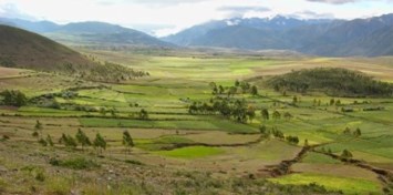 Obituary of Jorge Luis Field