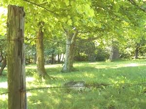 Obituary of Gary Joseph Dias