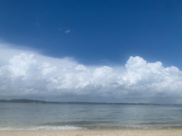 Obituary of Gilad Glick