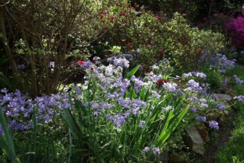 Obituary of Barbara V Roach