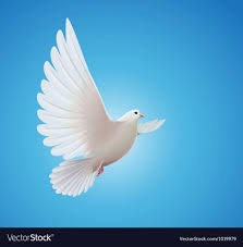 Obituary of Bobbie James Wray