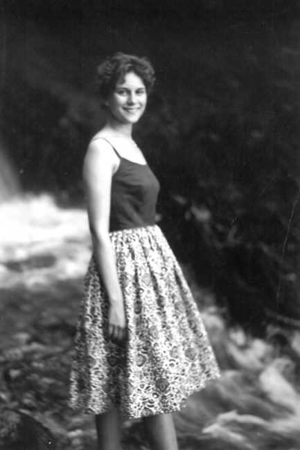 Obituary of Karen Hegsted Schettler