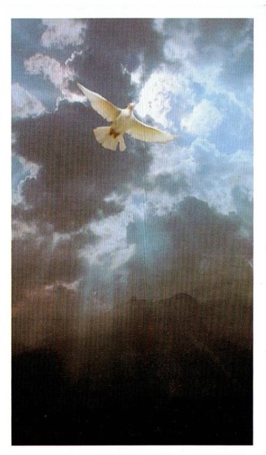 Obituary of Daniel Ildemar Fontaine Guerra