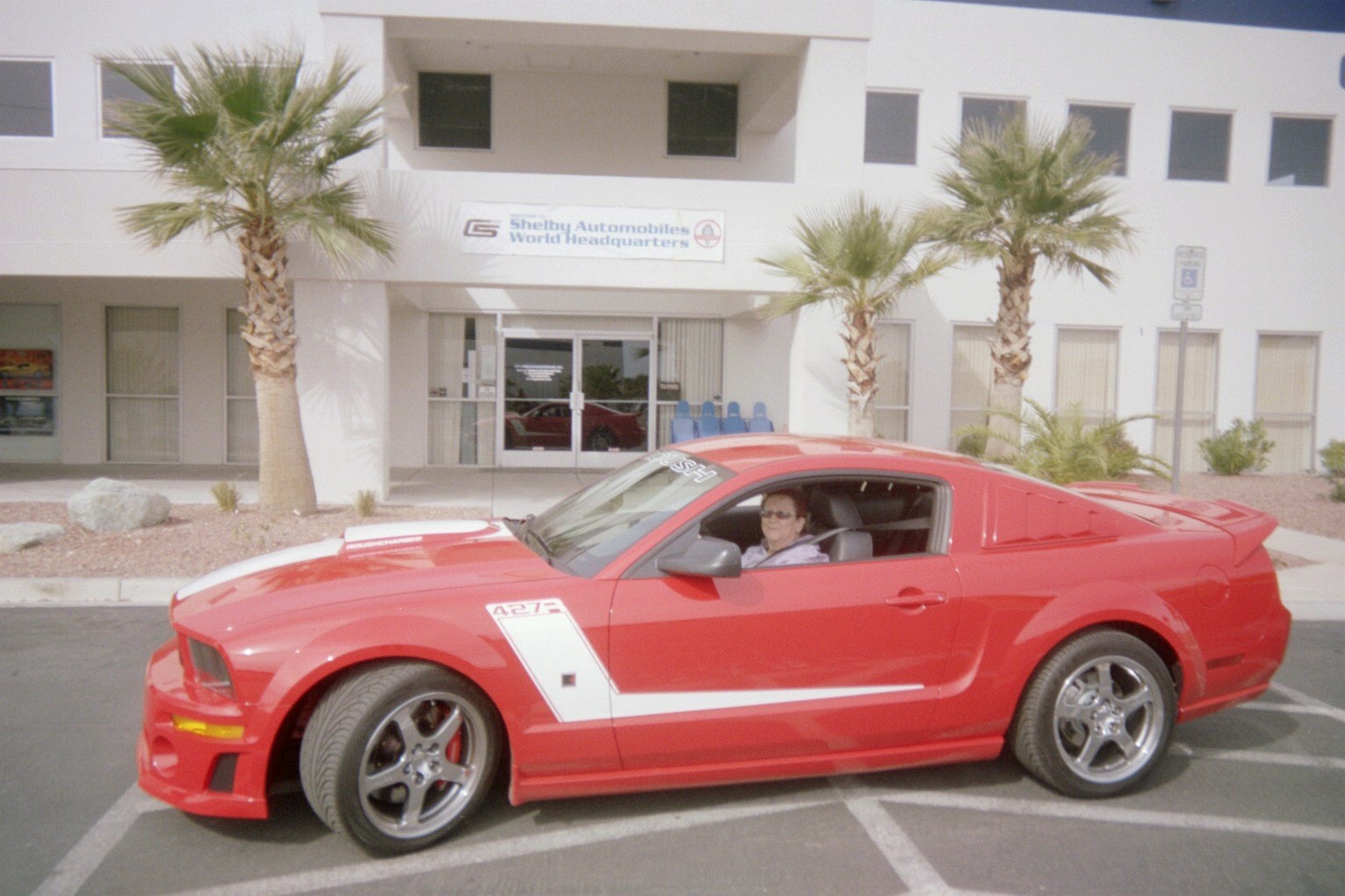 Obituary of Susan Perrin