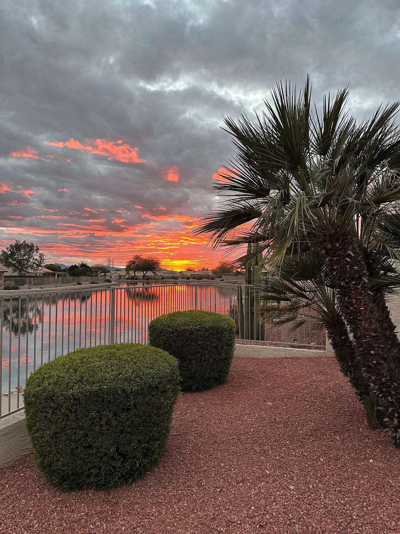 Obituary of Elaine Sokolowski