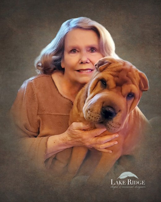 Obituary of Judy Meitin