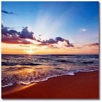 Obituary of Tracy Ellen Kinser