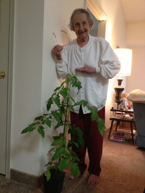 Obituary of Bernice Margaret Wellence Fisher