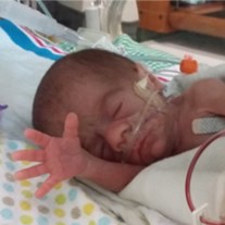 Obituary of Daxton Arthur Valladares