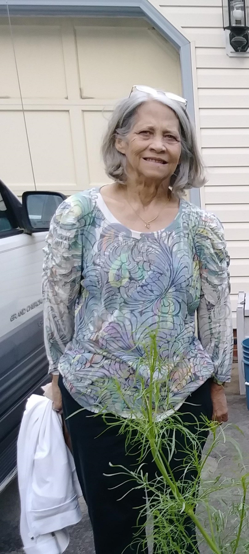 Obituary of Brenda McNeal Simmons