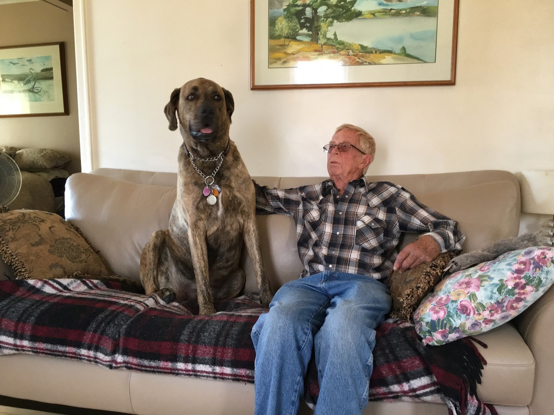 Obituary of Johannes Oddson