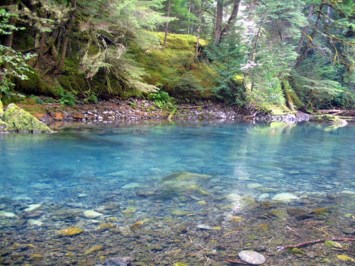 Obituary of Marcia G. Cooksey Mershon