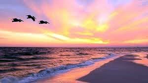 Obituary of Maria Colon-Garcia