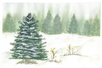 Obituary of Gordon Edward Panushka