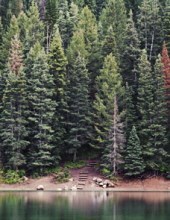 Avis de décès de Charles Albert Riley