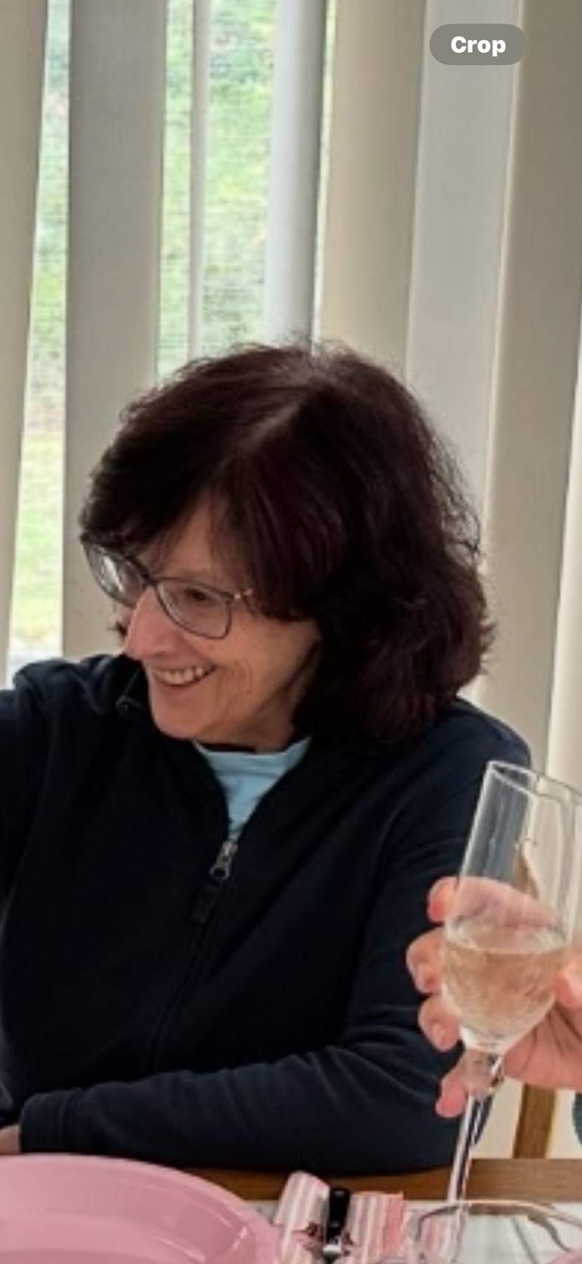 Obituary of Diane Giovannantonio