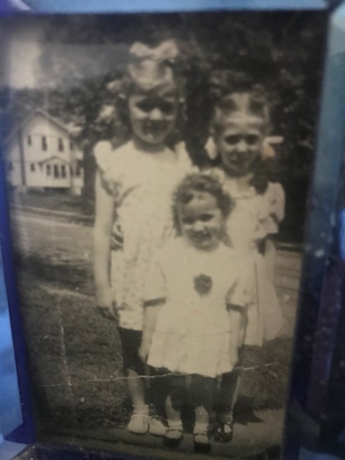 Carol Jackson Obituary Novato Ca