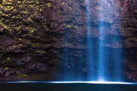 Obituary of Rosanne O Bronick