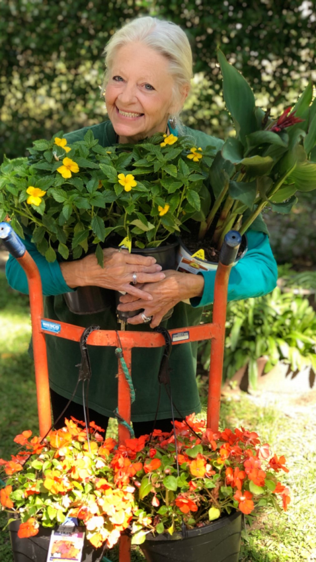 Obituary of Diane Groom Sakowski