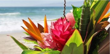 Obituary of Sandra M. James