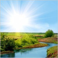 Obituary of Donald John Roth