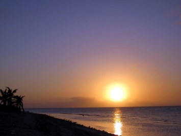 Obituary of Alice Martin