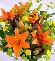 Obituary of Ann Judith Hagan