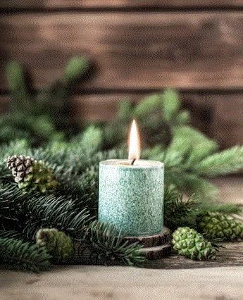 Obituary of Francisco Guevara