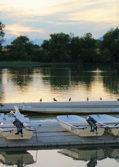 Obituary of Richard Ty Hing