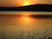 Obituary of Richard C. Diver