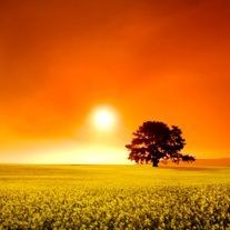 Obituary of Robert Estes