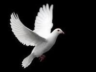 Obituary of Jose Luis Plascencia