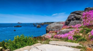 Obituary of Terry Edward Day