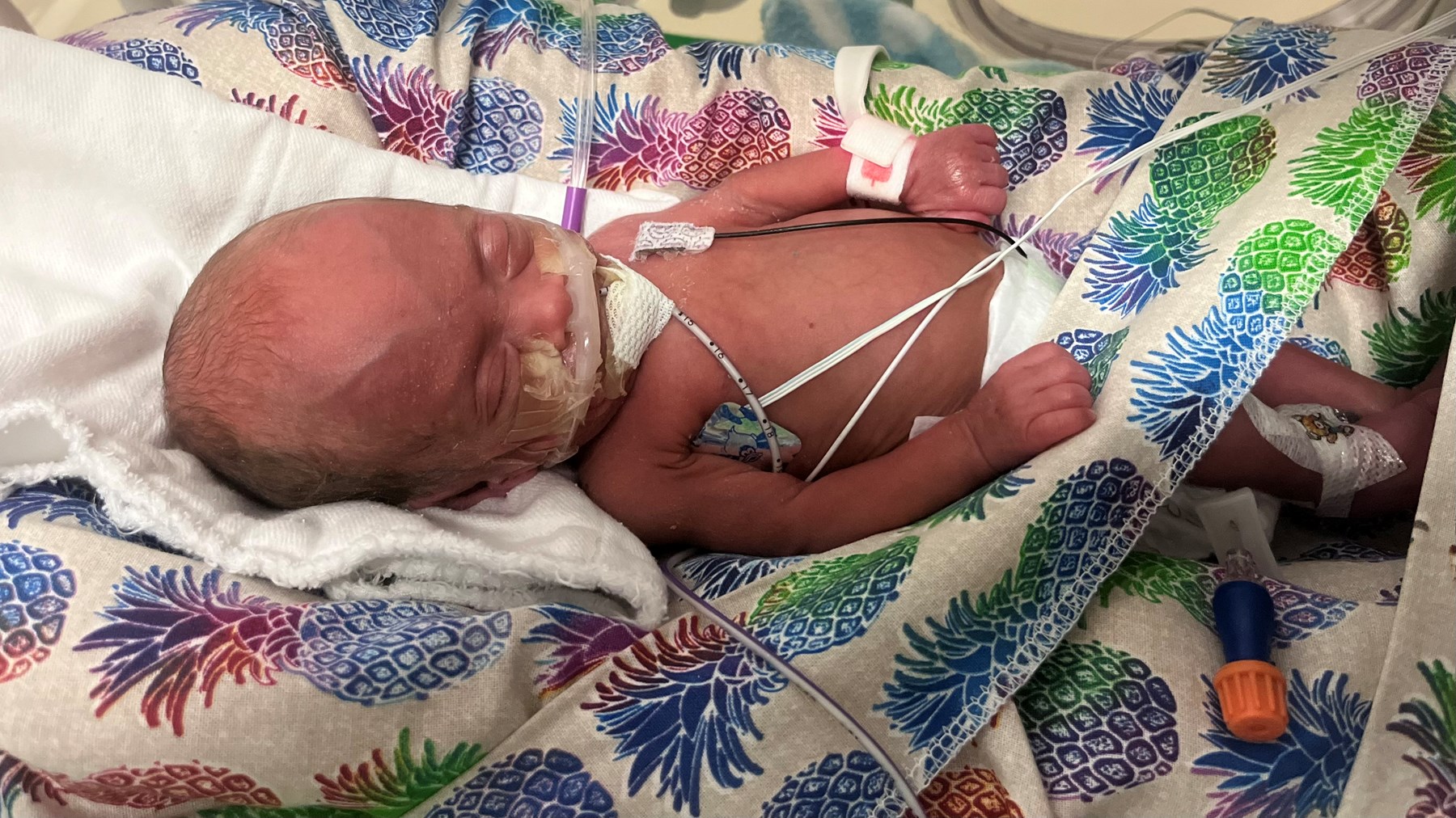 Obituary of Everly Celia Garcia