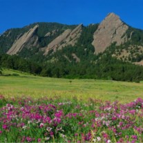 Obituario de Pamela Kristine Johnson