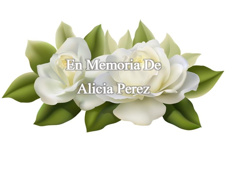Obituary of Alicia Perez