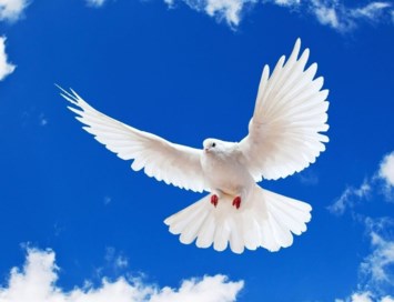 Obituary of Frederick Joseph Phillips