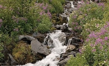 Obituary of Lawrence Girard Pilon