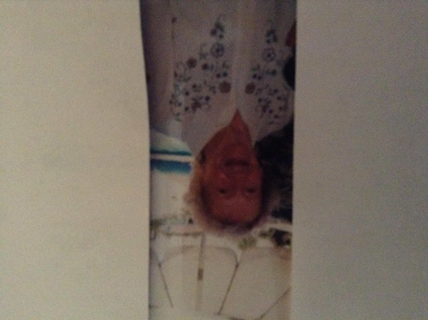 Obituary of Maxine Lorraine Bush