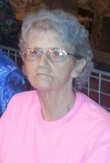 Obituary of Pamela Joy Hudson