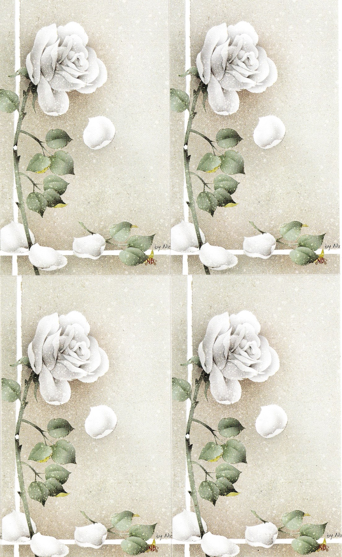 Obituary of Denise Dawn Diefenbach