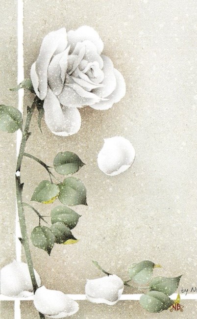 Obituary of Denise Dawn Diefenbach