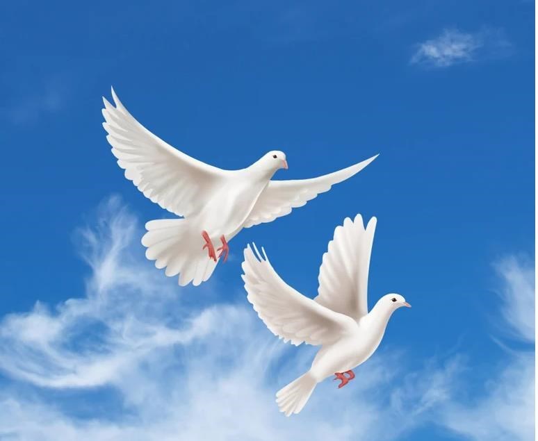 Obituary of Enrique Santiago Quinones