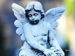 Obituary of Dalton John Delcambre