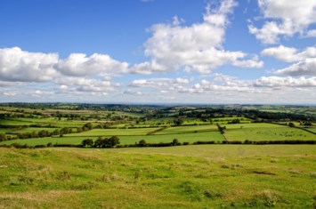 Obituary of Nicholas Christopher Wilton